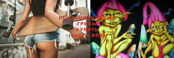 молекула духа Бородино