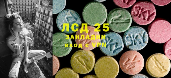 молекула духа Бородино