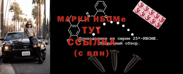 молекула духа Бородино