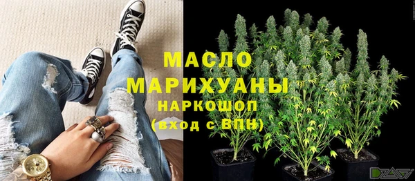 молекула духа Бородино