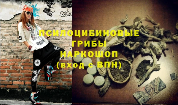 гашик Наволоки