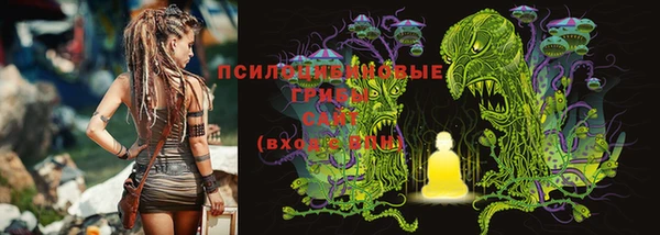 МДПВ Бронницы