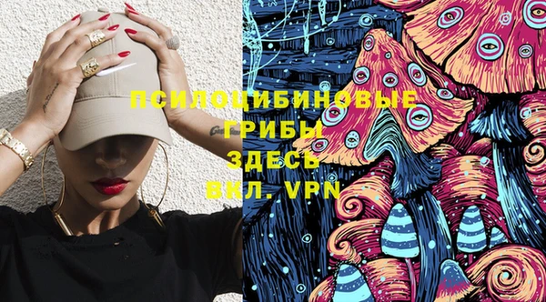 молекула духа Бородино