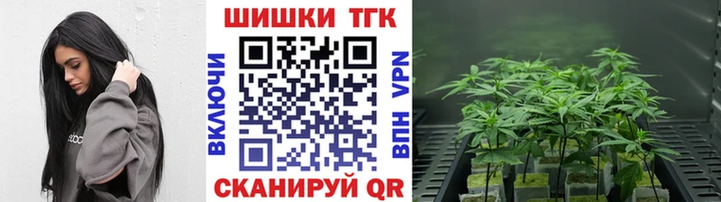 Бошки Шишки индика Ковдор